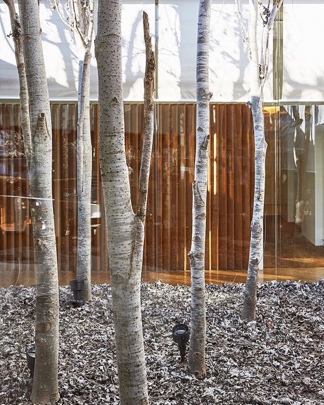 Details, <a href="/cellercanroca/">cellercanroca</a> 
A conversation with the Roca brothers in issue No.11 with Tara Steve’s @courtyardkitchenfez photographed by @mariluzopenhouse .
.
#openhousemagazine #openhouse #elcellardecanroca #canroca #michelinstar #girona