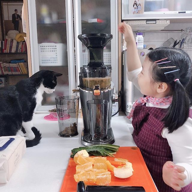 Wyciskanie owoców i warzyw to jeszcze większa frajda, gdy nie robimy tego w pojedynkę! 😃 Dobry pomocnik to połowa sukcesu! 🧒💛😺 A Wam ktoś pomaga w wyciskaniu?

#hurompolska #wyciskarki #frajda #zdrowie #zdrowesoki #zdrowaenergia bit.ly/2WpA9qv