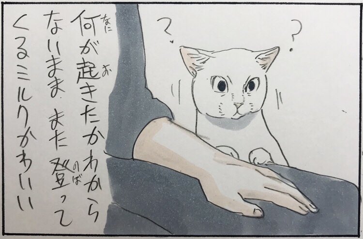 『ミルクかわいい』 