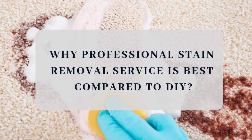 Why Professional Stain Removal Service is Best Compared To DIY?

#stainremoval #stainremovers #stainremovalservice #stainremovalinmississauga #mississaugaontario #professionalstainremoval

evergreencarpet.ca/why-profession…