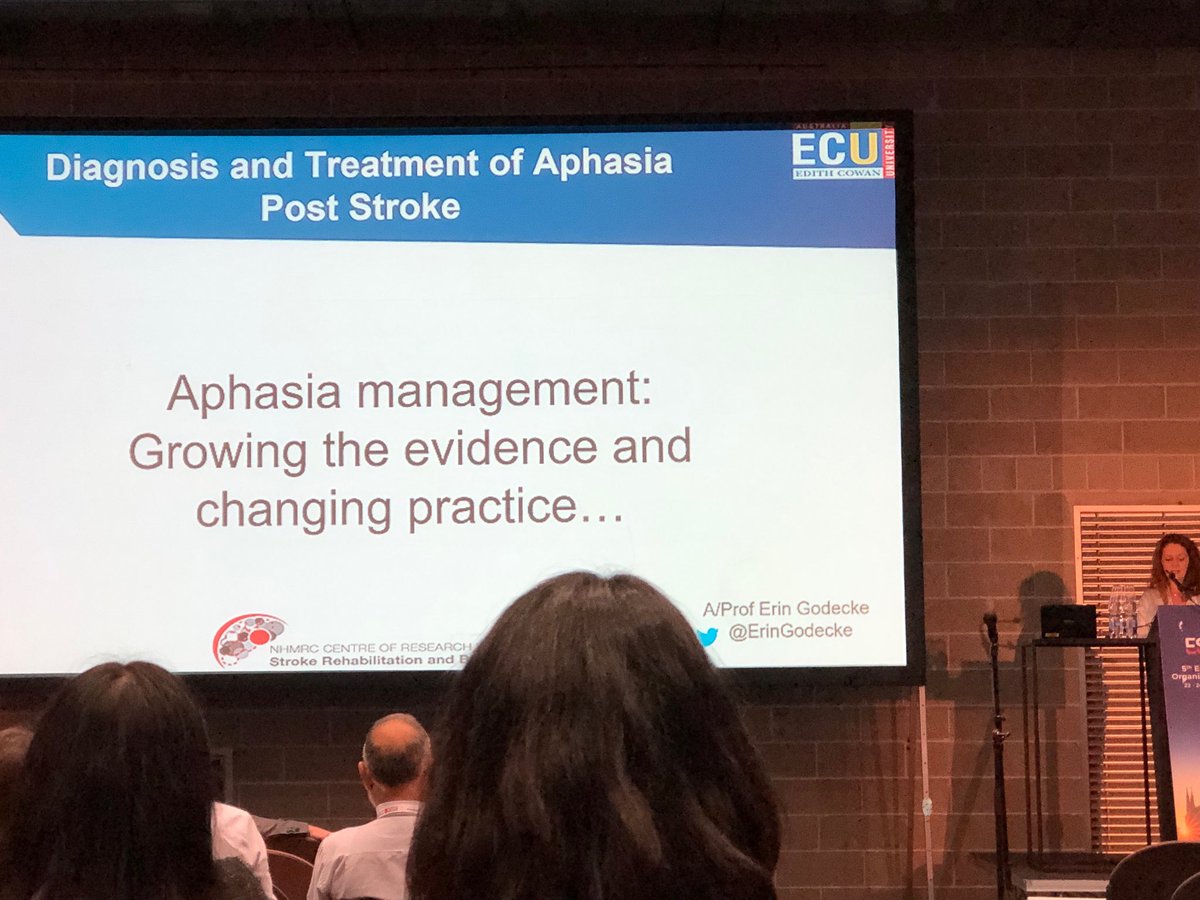 TapanRaiUTS's tweet photo. .⁦@ErinGodecke⁩ presenting on diagnosis and treatment of post stroke aphasia #ESOC2019 https://t.co/eo4swdyPjR