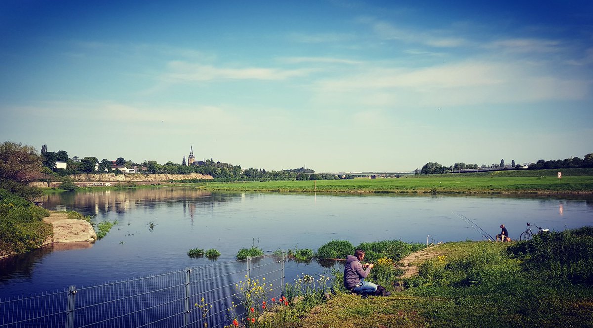 rschu's tweet photo. Good morning! ☀
Have a lovely Friday! ❤️
#dresden #briesnitz #elbe #run #running #morning #goodmorning #optoutside #outsideisfree #spring #saxony #TGIF https://t.co/JqQ7GngFaB