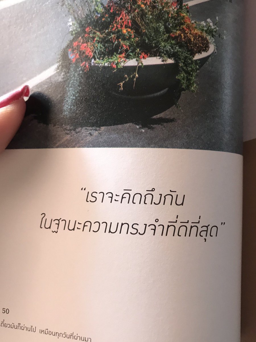 หมูหมากาไก่ tweet media
