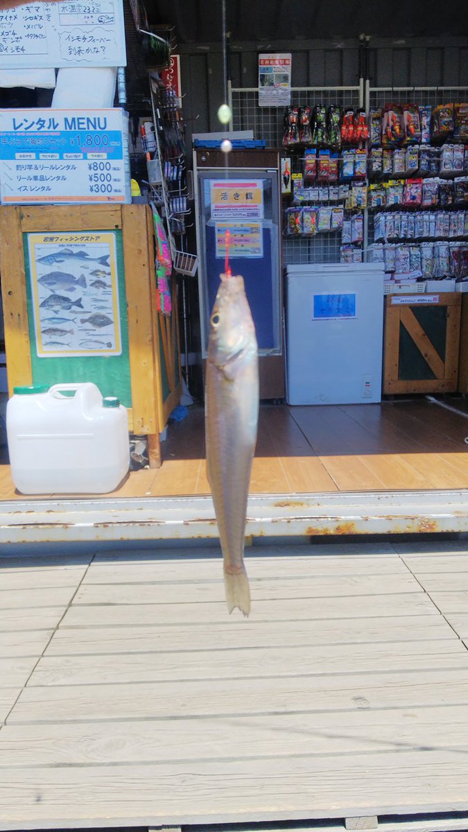 若洲海浜公園 ちょい投げ釣りでイシモチとキス 19年 ホームページ制作でお悩みなら長崎のorangeshare オレンジシェア