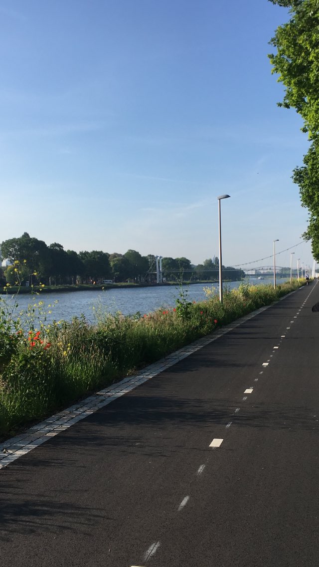 Blijkbaar was het gisteren #fietsnaarjewerkdag! Toevallig maakte ik gisteren deze foto: zo fiets ik (vrijwel) dagelijks 20km van en naar <a href="/sHeerenLoo/">'s Heeren Loo</a> (en nee niet met een E-bike). Geen straf!