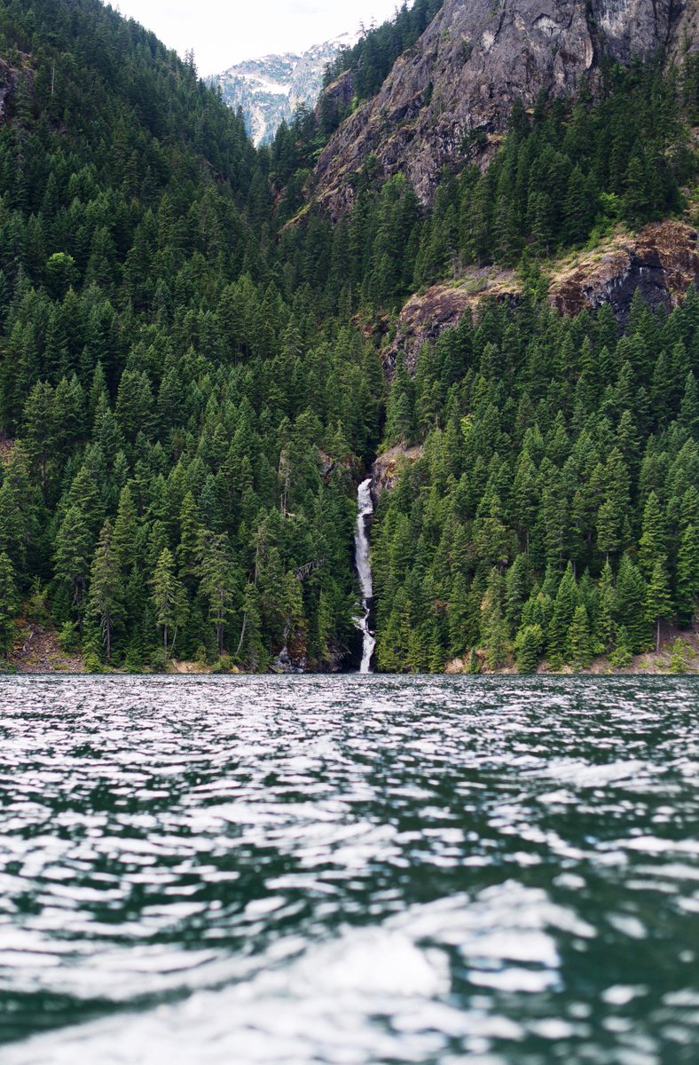 Restoration of degraded #forests is possible and one of the most cost-effective climate change mitigation and adaptation measures currently available #BetterWithForests @UNEnvironment @UNDP_REDDPlus <a href="/FAOForestry/">FAO Forestry</a> <a href="/GlobalLF/">Global Landscapes Forum (GLF)</a> <a href="/Nature4Climate/">Nature4Climate</a>