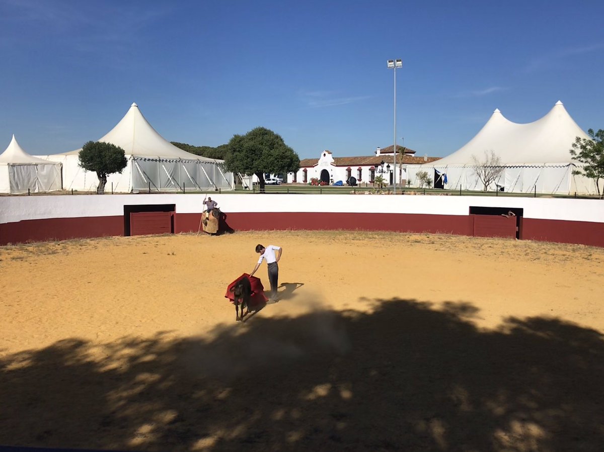 Hoy hemos recibido a <a href="/oficialmorilla/">Alejandro Morilla</a> por dos motivos, el 1 que nos gusta el toreo bueno y 2 creemos en las segundas oportunidades en la vida y en el toreo. Esperamos dar tanta suerte como buen toreo hemos visto hoy.