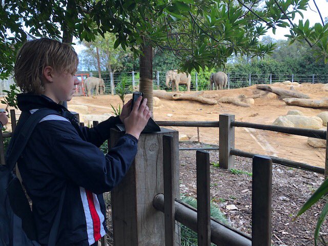 B_nook_College's tweet photo. On Tuesday, Year 8 students trekked off to the zoo, for a magical day of working on Languages tasks. The German, Indonesian and DPFC tasks all challenged students in different ways, but one thing that was clear was that all students engaged beautifully with their roles at the zoo https://t.co/oyKpAdiEjJ