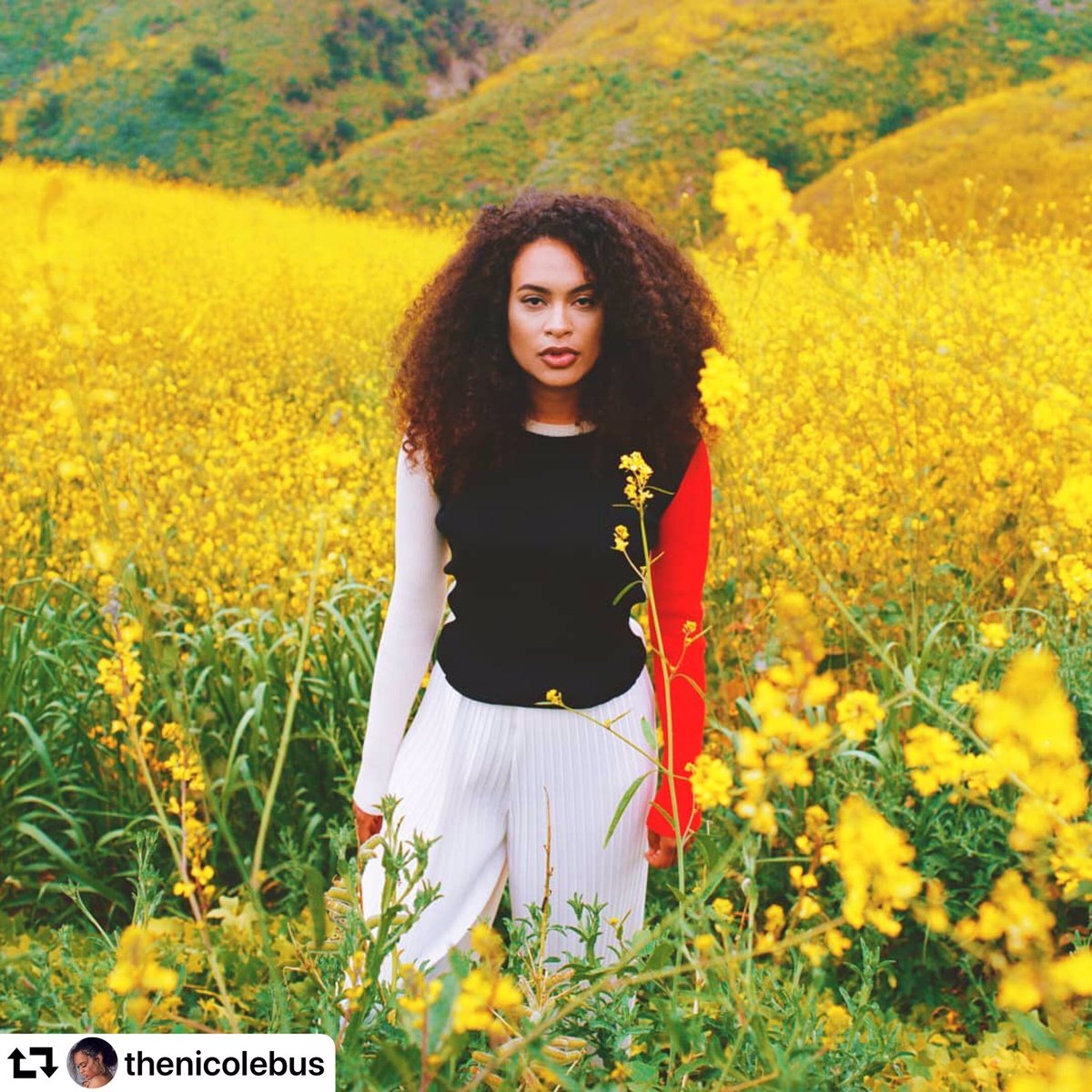 GreatArtMediax's tweet photo. # repost #nicolebus ・・・ ⚘ 🥇🏆#you #nicolebus #soulmusic #RnB #neosoul #RnBmusic #billboards2019 #singersongwriter #singer #songwriter #soul #producer #youremix #rickross #spotify #dutchartist #powerhouse #vocalist #spotifyplaylist #ArtistNL #youtube #itunes #AppleMusic https://t.co/92Tv8O8q9g