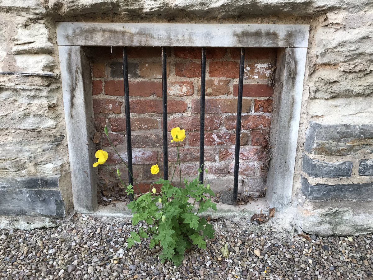spammie57's tweet image. The entrance to the cellar at The Hermitage. One of the oldest buildings in Ruddington. #nowayin