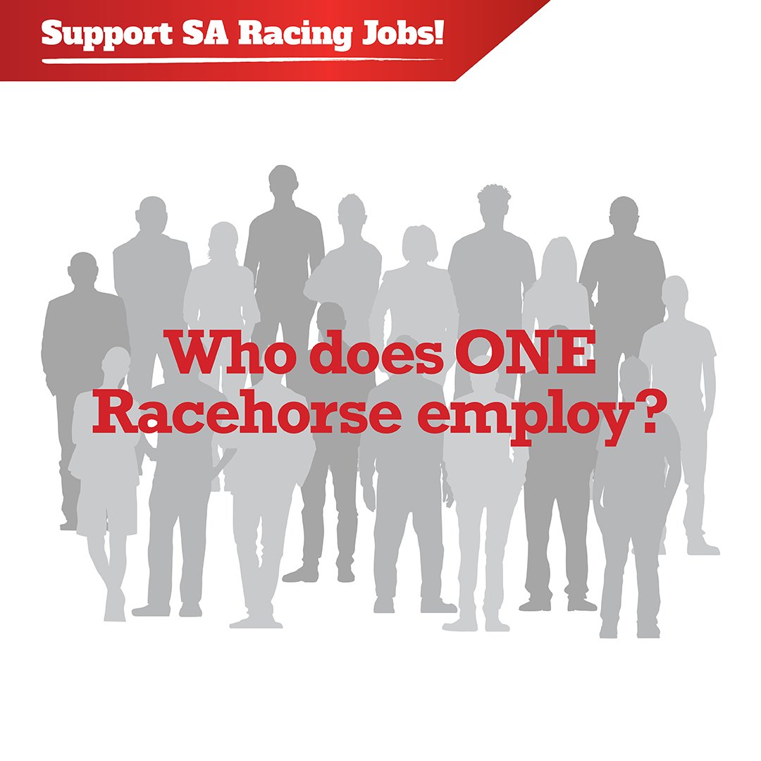 SupportSARacing tweet picture
