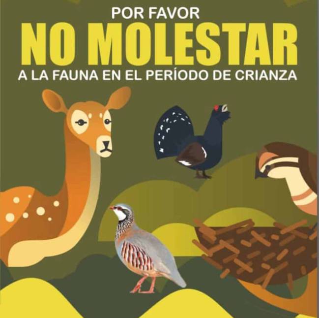 Por favor, no molestes. as.com/opinion/2019/0… <a href="/f_artemisan/">Fundación Artemisan</a> <a href="/RociodeAndres/">Rocío de Andrés</a> <a href="/cienciaycaza/">cienciaycaza</a> <a href="/ACEcorzo/">ACEcorzo</a>