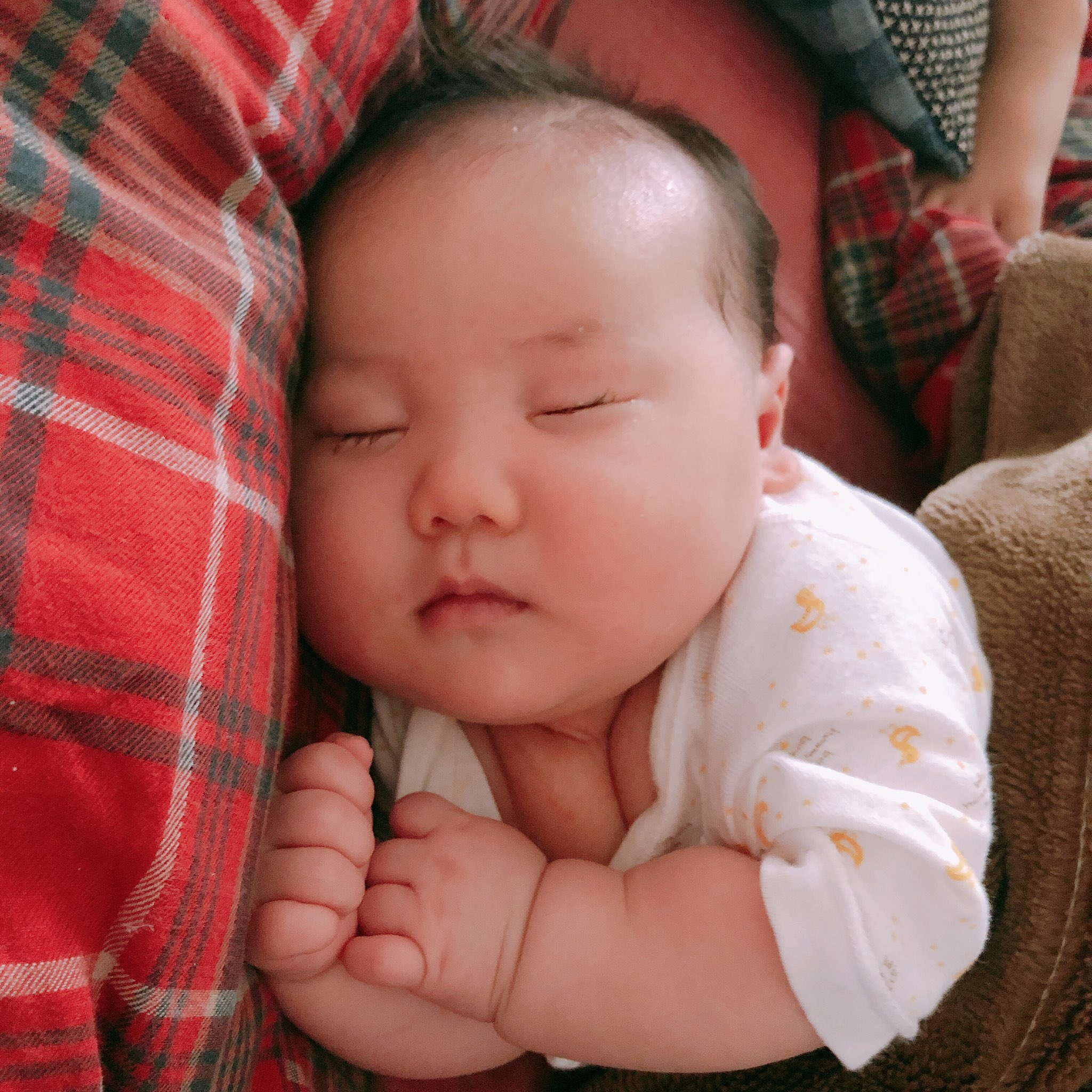 Boojil ブージル おかっぱちゃん 気づいたら 胸の谷間ができていた もうすぐ生後2カ月 T Co Ryrndlbuxw Twitter