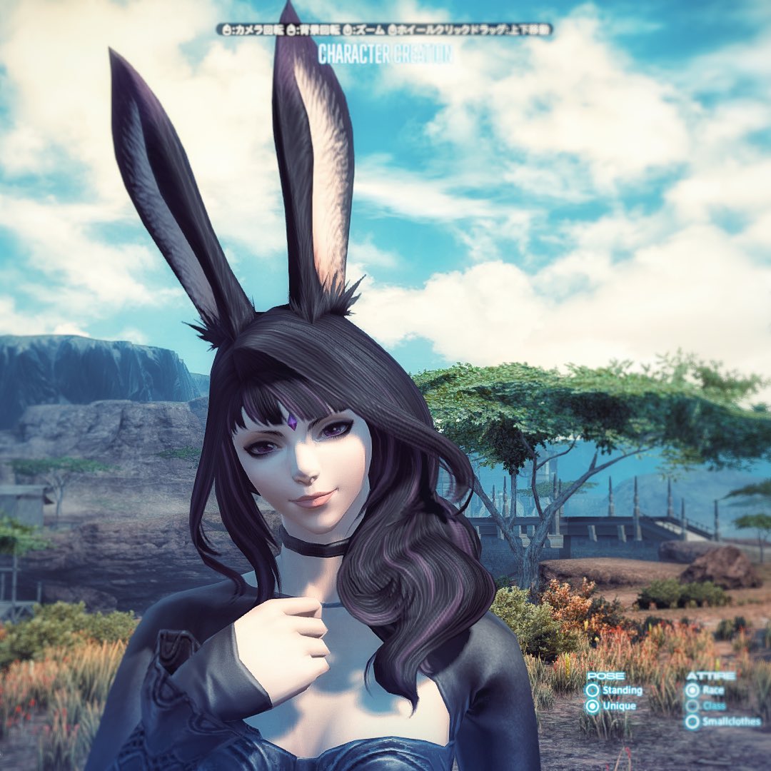わさ ヴィエラキャラメイク Ff14 種族とフェイスタイプを変えて数パターン その2 腕っ節の強いおねーさんタイプ この頭の金具は髪型の付属品なのね そりゃ頭装備ナシになりますわぁ