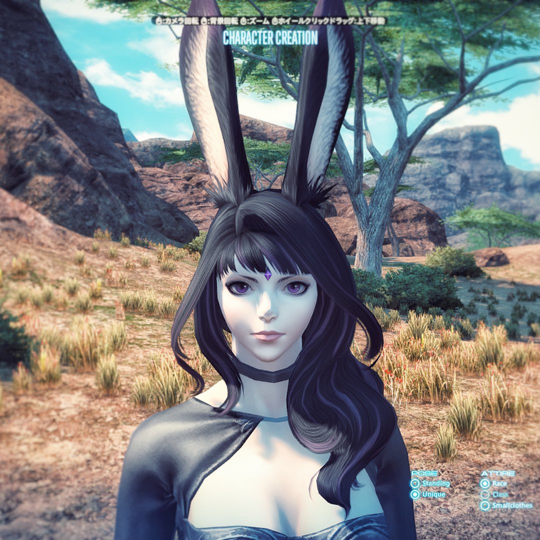 わさ ヴィエラキャラメイク Ff14 種族とフェイスタイプを変えて数パターン その2 腕っ節の強いおねーさんタイプ この頭の金具は髪型の付属品なのね そりゃ頭装備ナシになりますわぁ