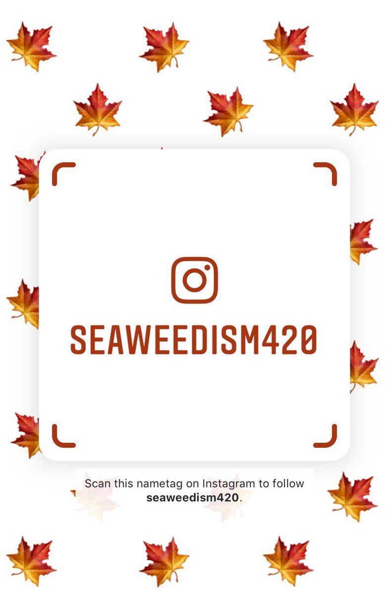 seaweedism's tweet photo. Alright guys, as you all know my old Instagram account got deleted 😢 Fear not, here’s my new account. Follow and DM 🙌 https://t.co/h3CgmlP4gP