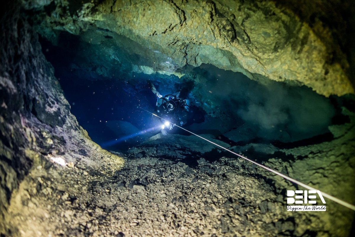 digginworld's tweet photo. Where's your #safeplace?
@ClubOceanides @NatGeo_la @NatGeo #buceo #scuba #diving #weekend #itsfriday https://t.co/8MS5ALwaGo