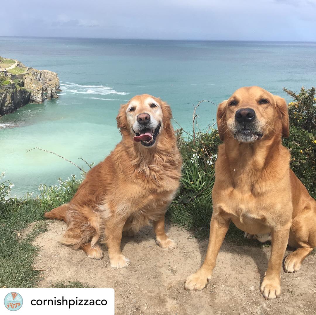 Plans this Bank Holiday weekend/half term! Share them here and we can retweet 😀#lovestagnes 

We’ve heard there’s a photography exhibition up at Wheal Kitty until 17 June that you can walk the dog to! #dogfriendly #lovestagnes #walks 

Photo credit <a href="/TheCornishPizza/">The Cornish Pizza Co</a>
