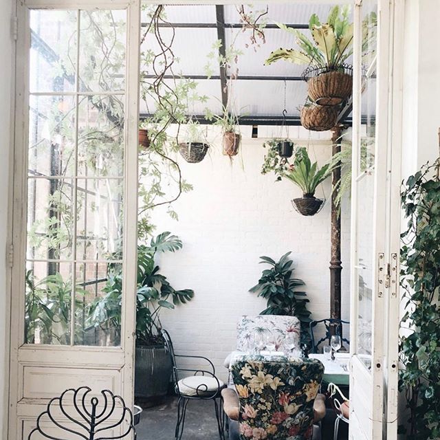@mad_about_the_house beautiful shot 📸 of the greenhouse! Happy Friday everyone! Super happy for a long weekend of sunshine, cocktails and brunch 😋 bit.ly/2Wl9awh