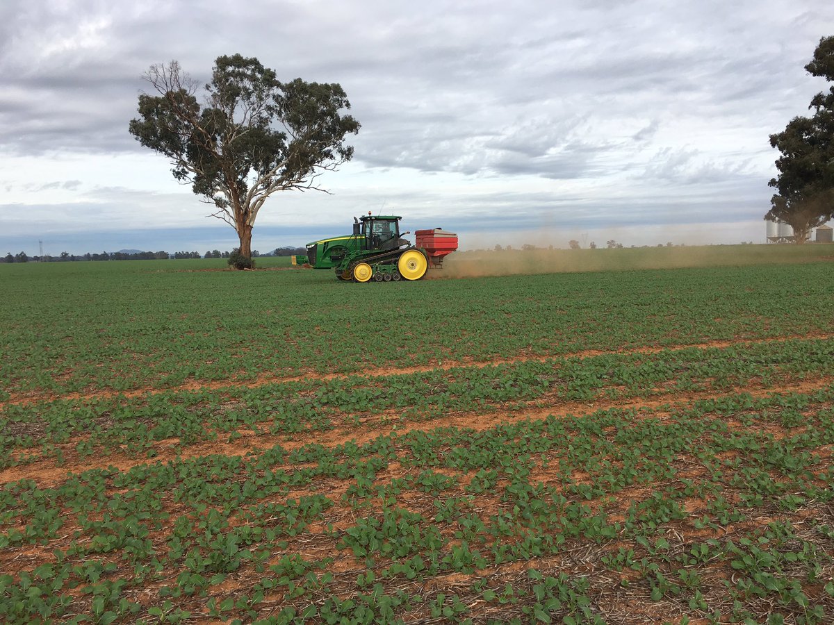 MJKohlhagen tweet media