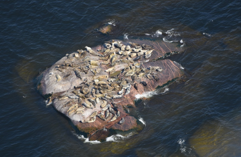 porno elokuvia verkossa ilmaiseksi