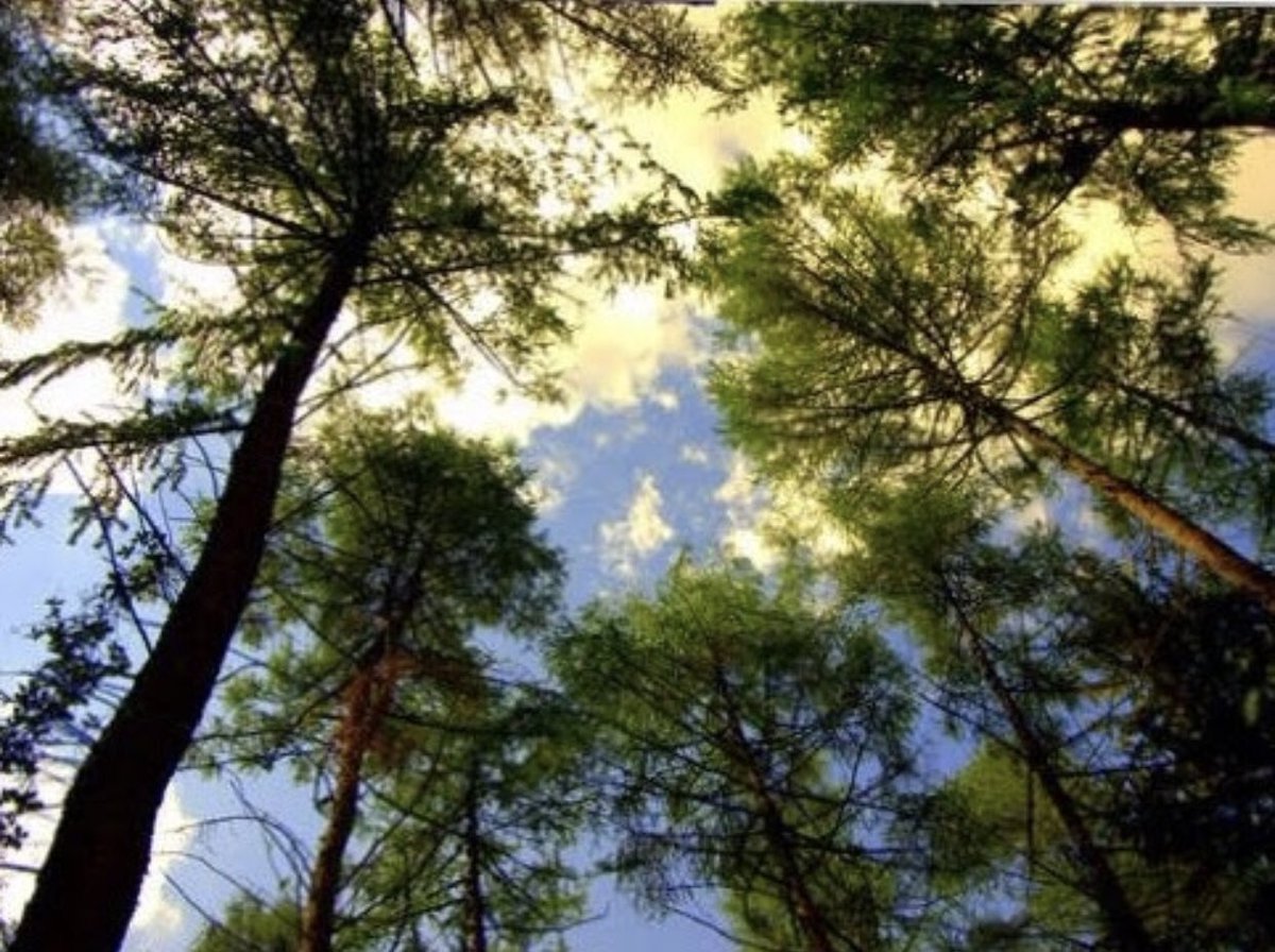 Wishing all our customers a lovely Bank Holiday weekend. Bag collections will recommence on Tuesday 28 May. Remember you can order bags online at abbeygrabbag.co.uk 24/7. Enjoy the weekend! The Team at Abbey Grab Bag