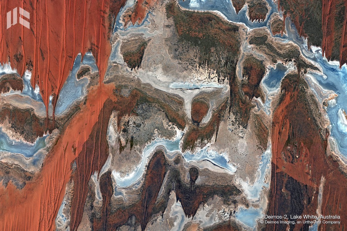 EarthDailyA's tweet image. Wishing you a #HappyFriday with the extraordinary landscape of Lake White, Western #Australia, captured by #DEIMOS2. #EarthArt #EarthObservation