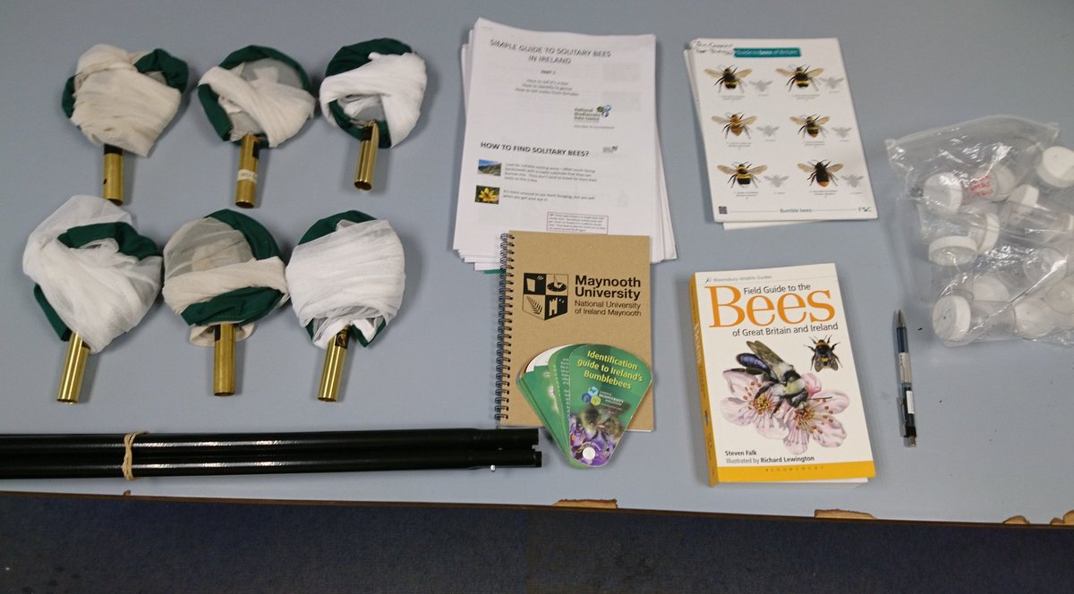 Getting ready for our MU Bee-Walk. Part of our celebration of Biodiversity across our @MaynoothUni campus as part of #nationalbiodiversityweek  Starts at 10am outside the PHOENIX Restaurant. All welcome. @BioDataCentre @GreenCampus_MU @MaynoothBiology