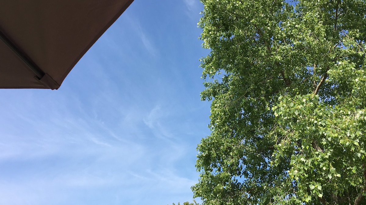 djlwq's tweet photo. Patecni kancelar se zatim velmi povedla 😇😊 #homeOffice #homeWorking #tesime https://t.co/SZWW1lxtAF