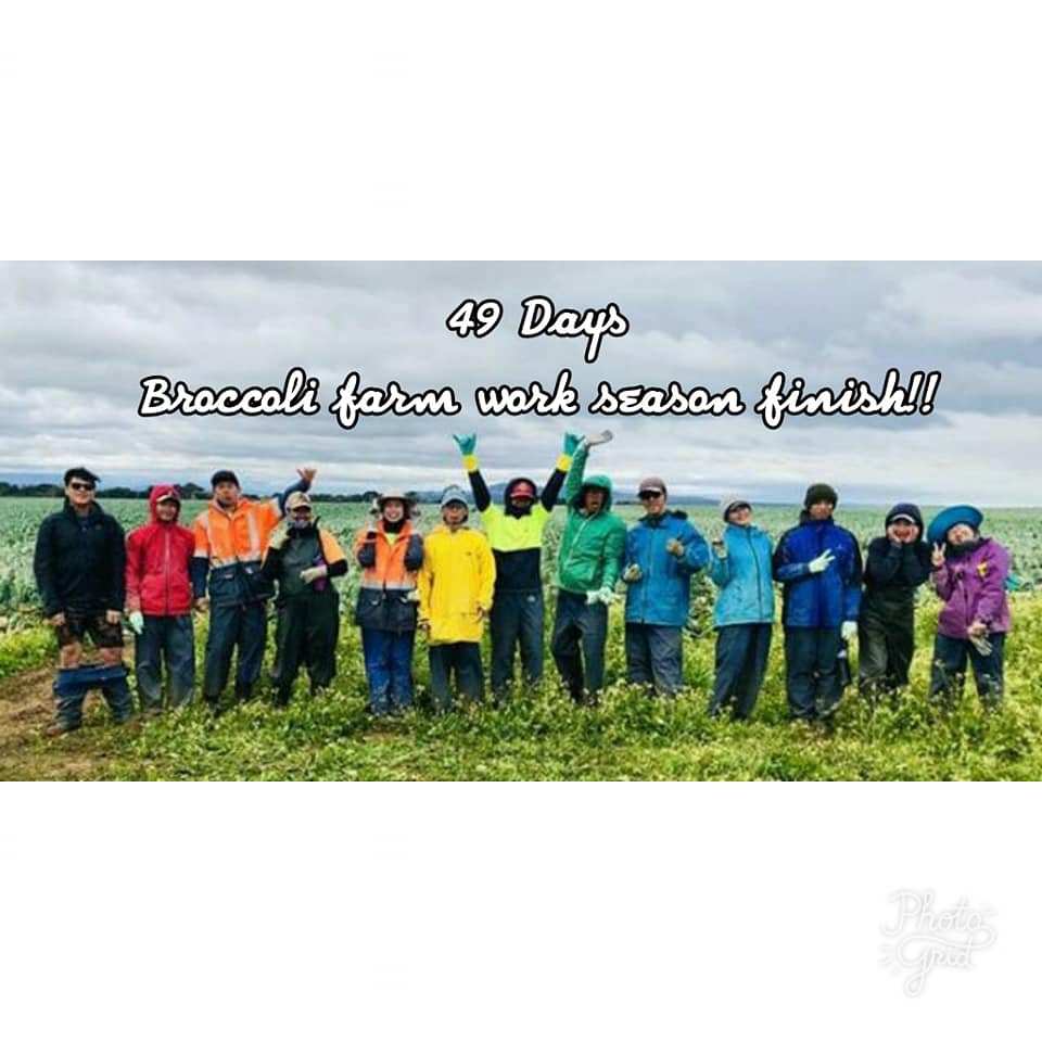 aderida's tweet photo. Australia life (Working Holiday Visa Indonesia 2019) https://t.co/DtLF5z3CIF https://t.co/s1cglv63gD