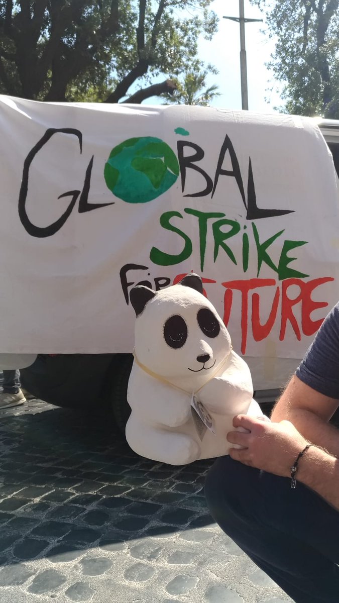 WWFitalia's tweet photo. Anche oggi i ragazzi di #FridaysForFuture sono scesi in piazza a #Roma per il secondo sciopero globale #globalstrike. E noi di @WWFitalia siamo al loro fianco per il #clima e per difendere il #futuro. #Pandastrike #Climatestrike https://t.co/FHT3RVVK8X