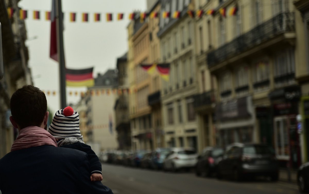 Olivier Cosson On Twitter Petit Pompon Dans La Ville Ville De Rouen Foxoorouen Metropolerouenn Armadarouen