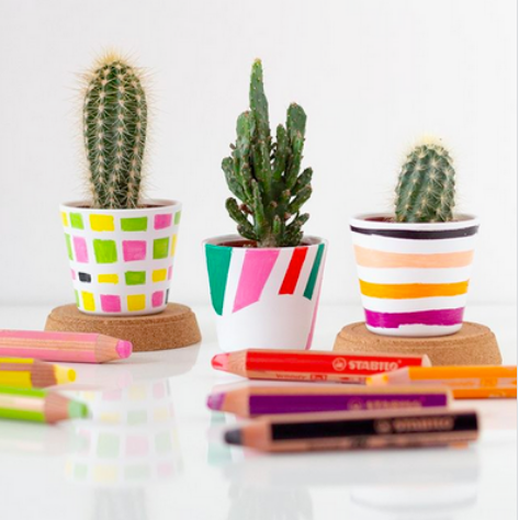 DFournitures's tweet photo. Une idée de réalisation très sympa pour petits et grands grâce au #woody3in1 de la marque #Stabilo 🌵🍭🌷💙🌼 #DirectFournitures ❤️ https://t.co/pXE5julfP3 Excellente journée à vous toutes et tous ! Et n'oubliez pas la fête des Mamans ce WE 🌻 #bonnefetemaman #HappyMothersDay https://t.co/uPPu8nEQUo
