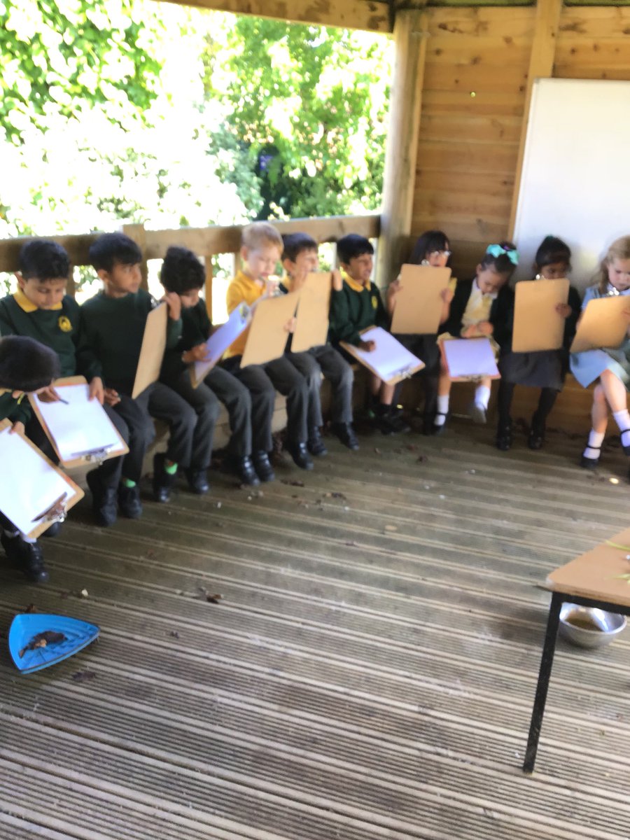 GoslingsMPS's tweet photo. Foundation are doing some real life sketching🌳🌲 https://t.co/NkqXjqDDbD