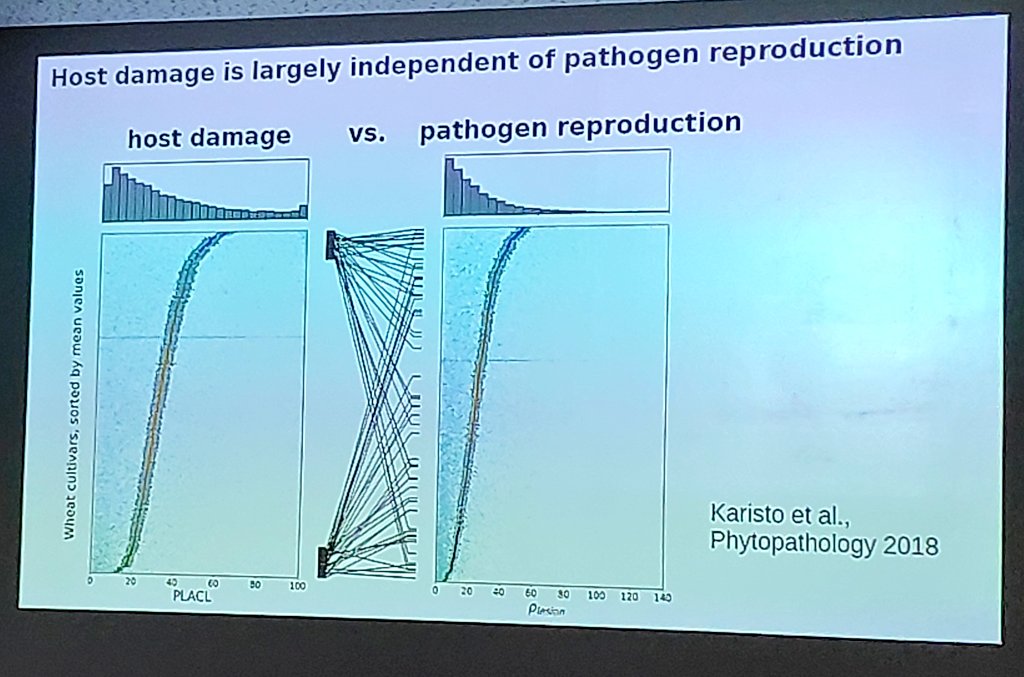 Anna Tiley tweet media