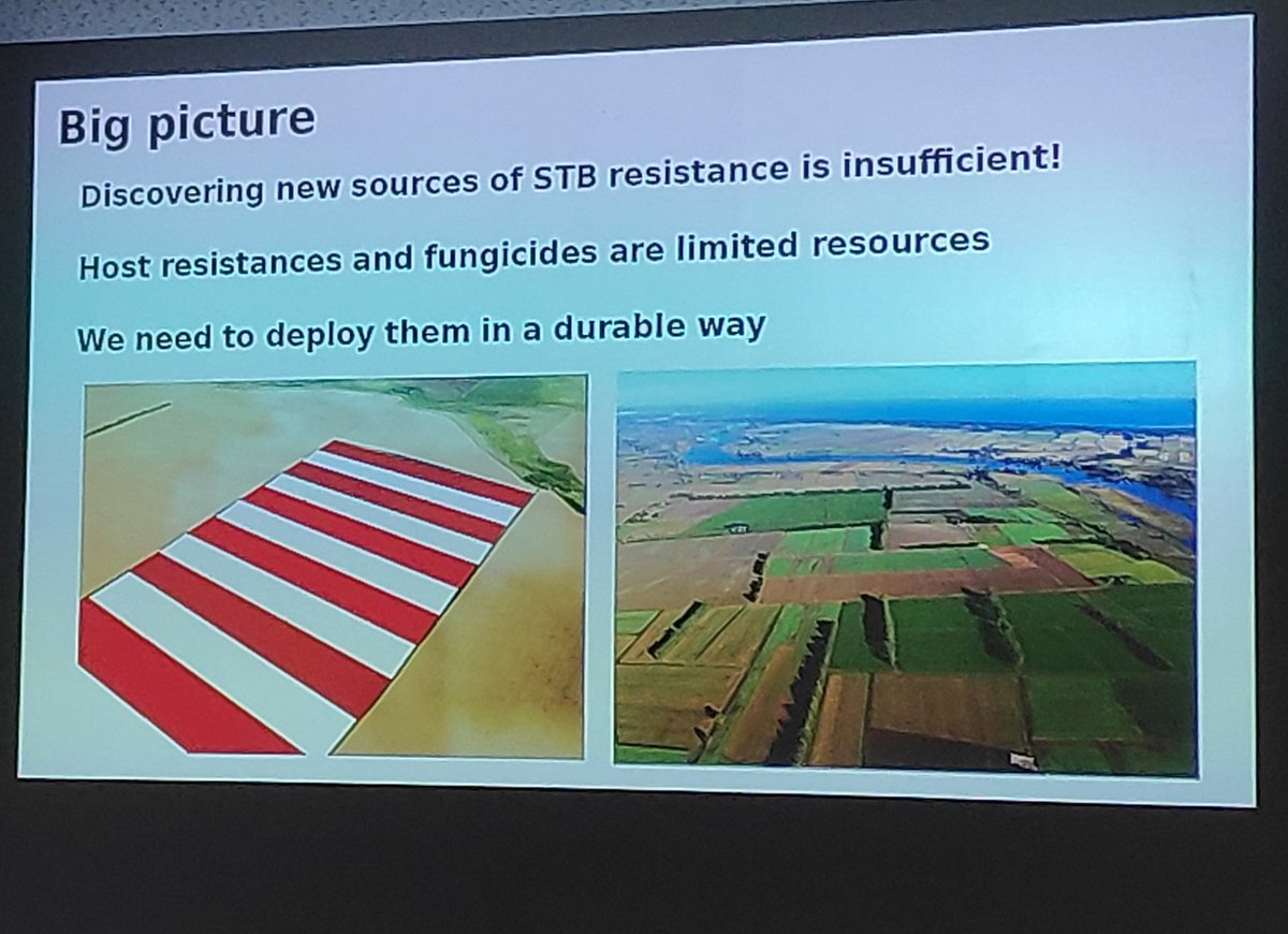 Anna Tiley tweet media