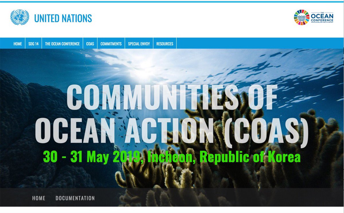 Since a child water has been important to me. My favourite element and mental refuge for tranquillity. Therefore I'm very proud to contribute amongst the speakers &amp; panellists at UN "Communities of Ocean Action".