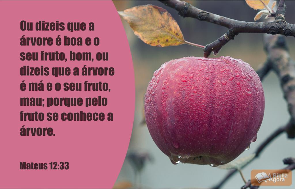 A Bíblia Agora on Twitter: A Bíblia Agora on Twitter: