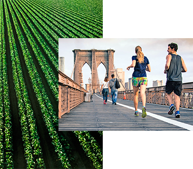 encuentratumomento.com/javiertaranill…