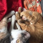 Photo by อะไรดีล่ะ (@cappha)