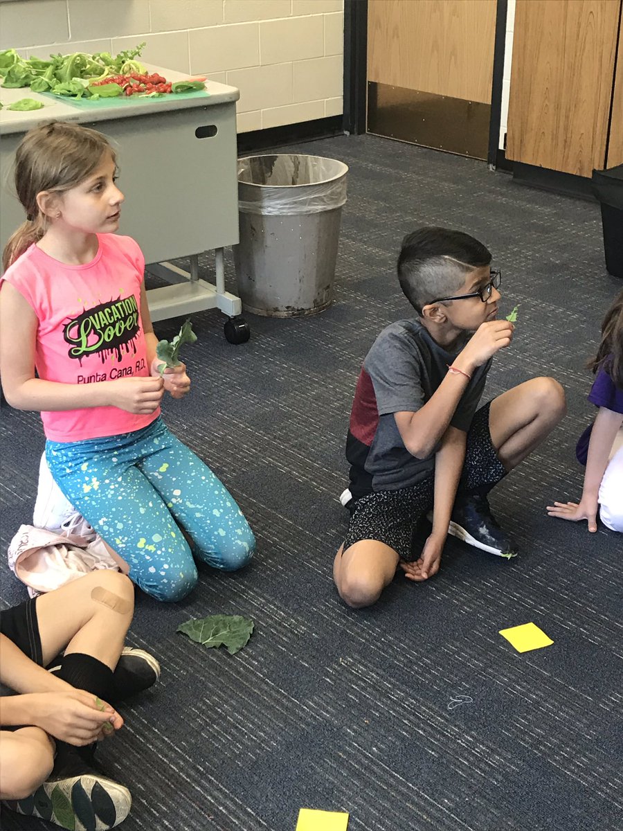 MissFoleyTeach's tweet photo. Thanks @AshlineKelly for taking the time share the importance of helping our 🌎 and tasting new 🥦🌱! They are willing to try anything that comes from the tower garden. @CCSD93 @RDPrincipalD93 https://t.co/1wtGk8Zukc