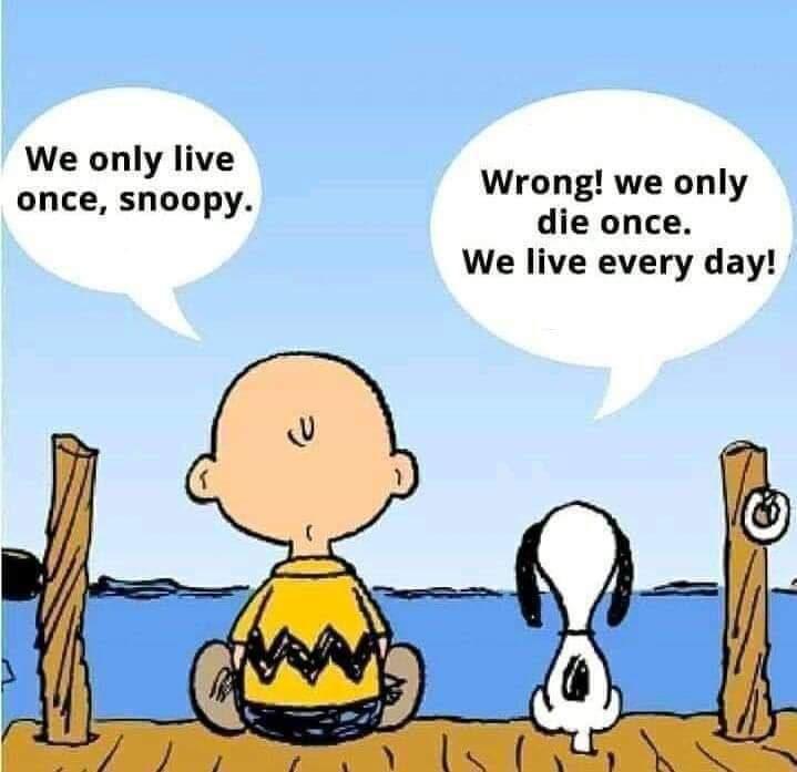 Our life motto.... borrowed from another site..