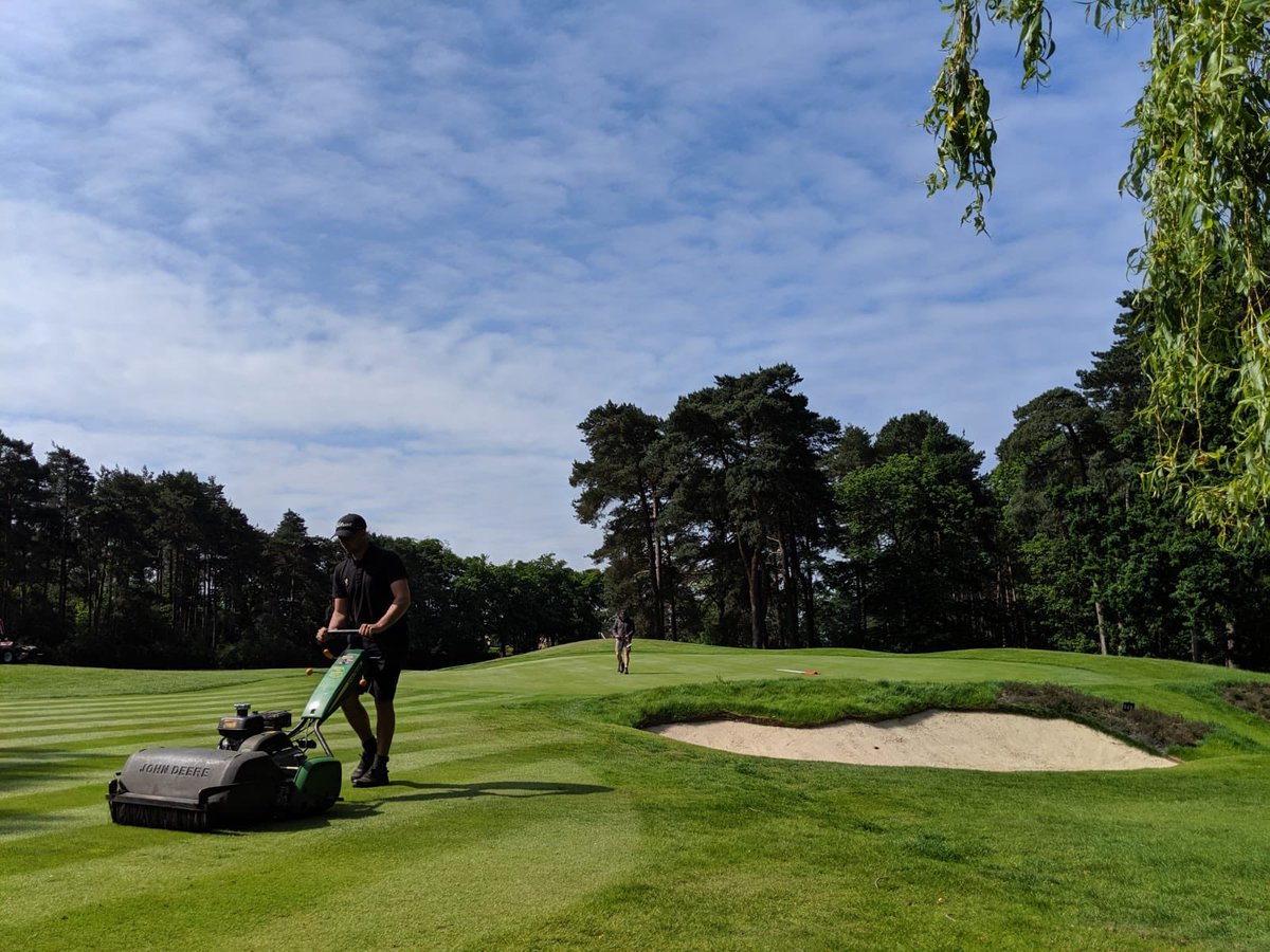 Brad Annels tweet media