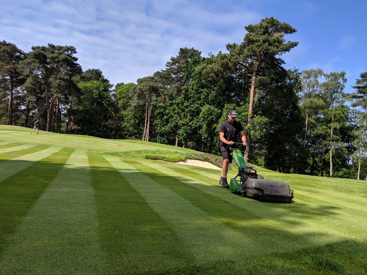 Brad Annels tweet media