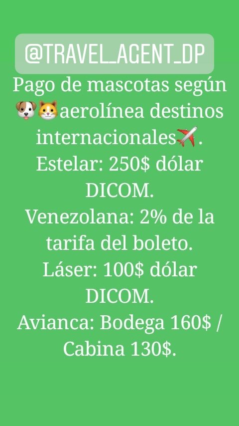 agent_dp's tweet photo. Información de inter��s. Vas a #viajar con tu #mascota y no sabes cómo hacerlo? Nosotros te ayudamos! Contáctanos 📱+58 424 3765246 /  💻 travelagentdp@gmail.com https://t.co/a3pizvWqH1