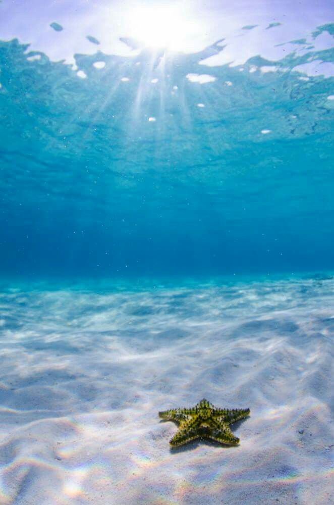 DORY tweet media