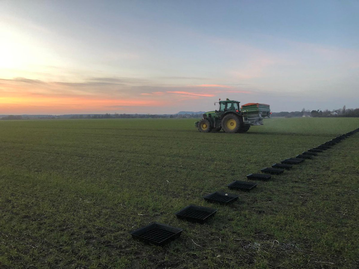 TheSpreaderGuys's tweet photo. We love a straight line of trays! 💚 #SpreadRight #DontGuessUseSCS #Fertiliser #Spreader #TrayTest #NSTS #Amazone #JohnDeere https://t.co/2BtjlE3G9e