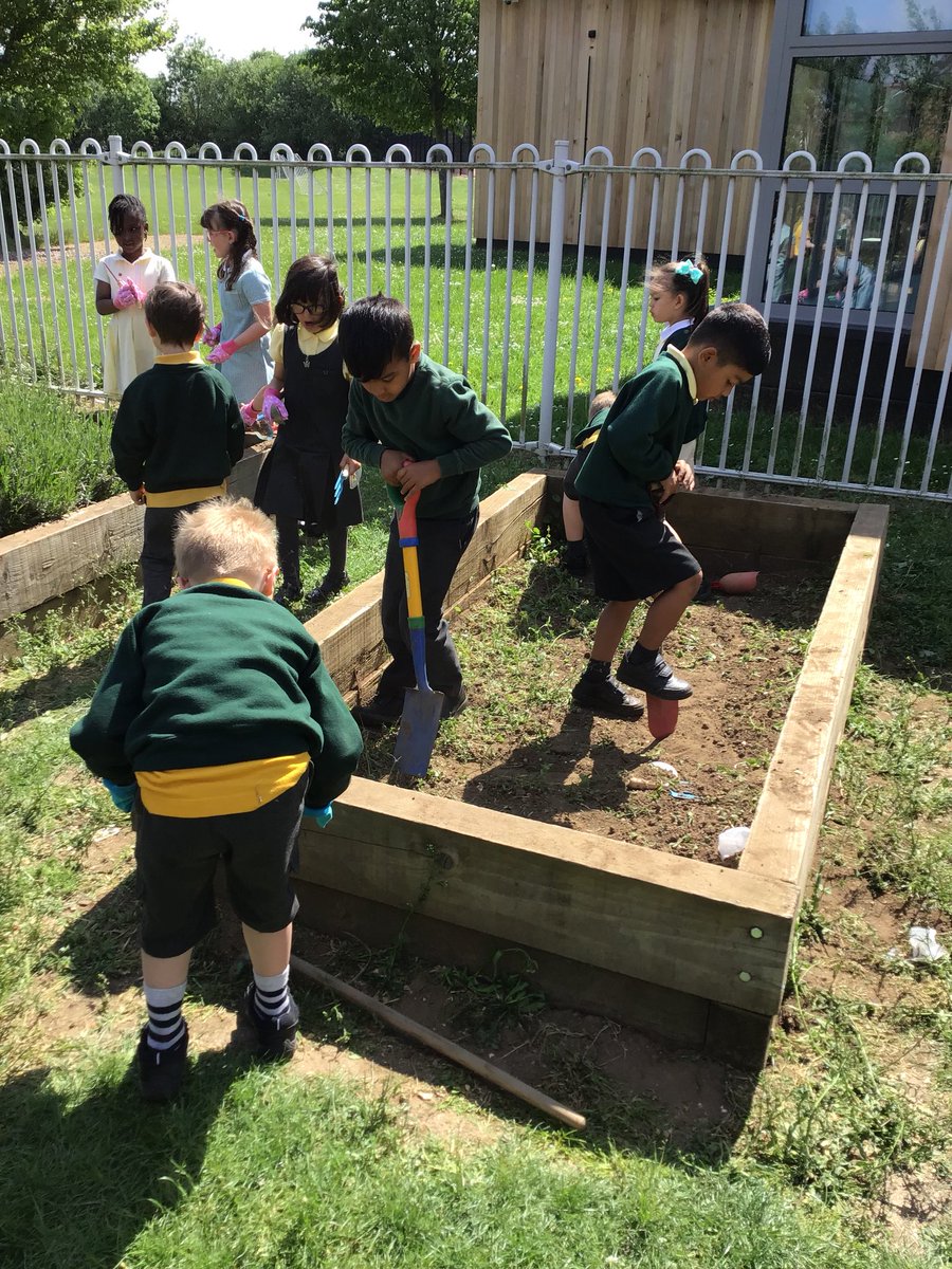 GoslingsMPS's tweet photo. Goslings are enjoying some gardening this morning🌲🌳☀️ https://t.co/rwMV1jlTwl