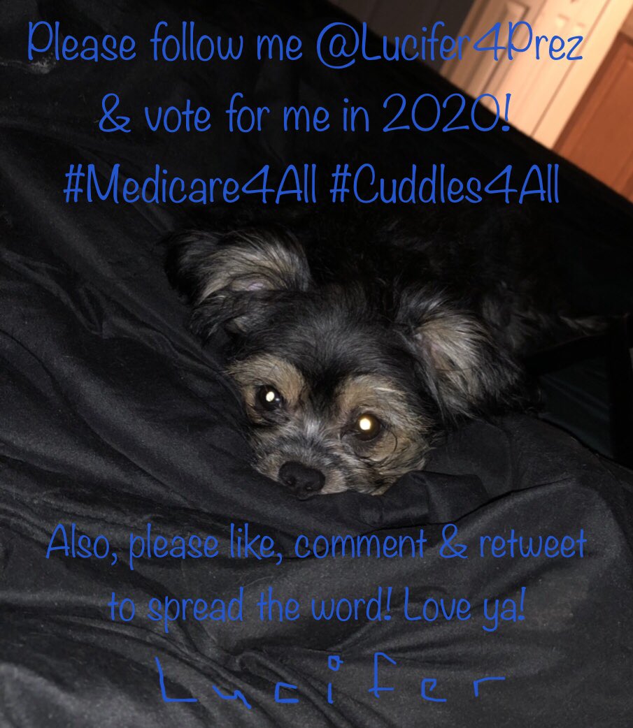 Pansexual_Satan's tweet photo. So let’s throw a #FBRParty for Lucifer & see if people would vote for him over trump. Help us by RTing, liking, & commenting so we can get his name out there. Follow @Lucifer4Prez; he’ll share more of his policies in the coming days. #FBR #Resist #IFB #VoteForLucifer #Cuddles4All https://t.co/ei02nItdNY