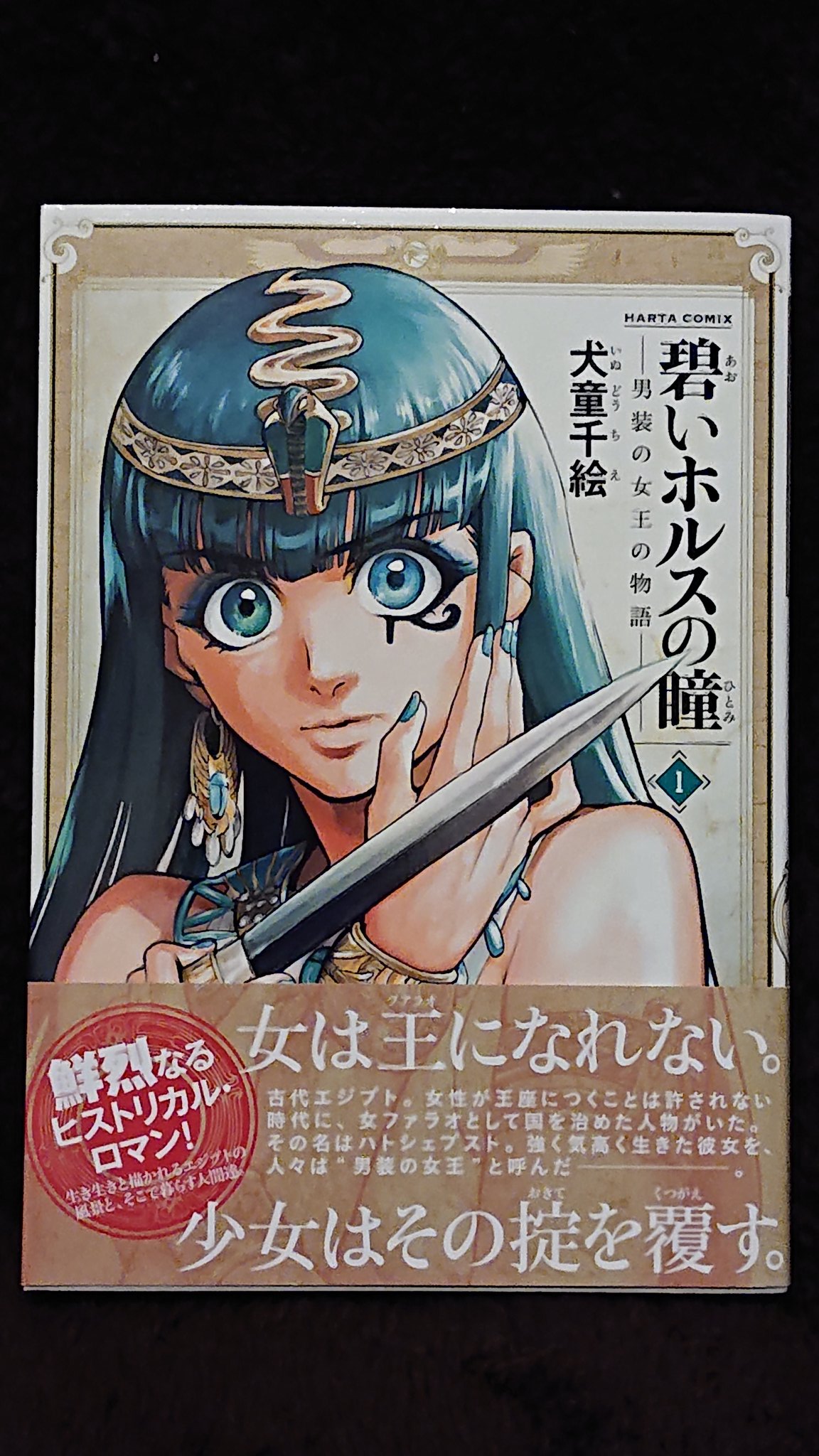 美里千明 V Twitter 犬童千絵先生の 碧いホルスの瞳 三千五百年前の古代エジプトの女王 ハトシェプストの物語 いつの時代でも 人は綺麗事ではのし上がれないんだなぁ と 強く強く思わされます 現在6巻まで発売中 マンガ 碧いホルスの瞳